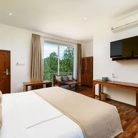 Morning Dew Boutique Hotel Ella-2